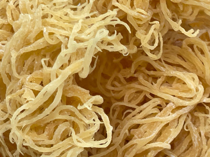 Gold Seamoss - (SBC)