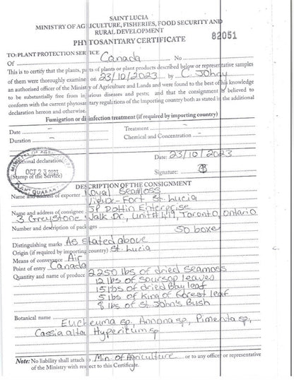 Gold Seamoss - Wholesale