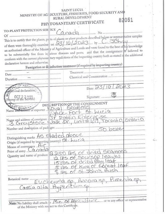 Gold Seamoss - Wholesale