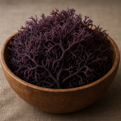 Purple Sea Moss Wholesale | Saint Lucia Bulk