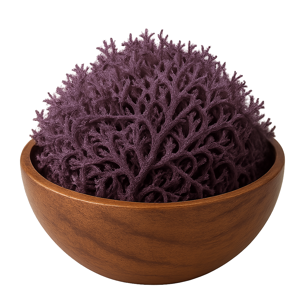 Purple Sea Moss Wholesale | Saint Lucia Bulk