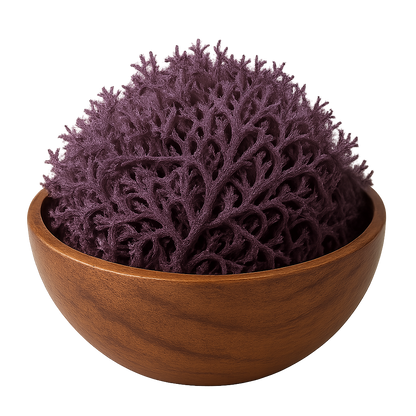 Purple Sea Moss Wholesale | Saint Lucia Bulk