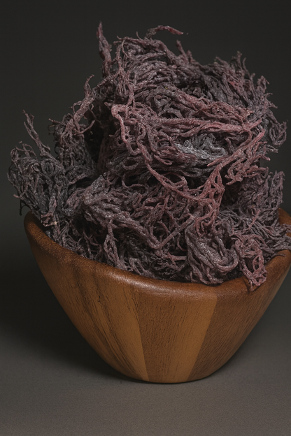 Purple Sea Moss Wholesale | Saint Lucia Bulk
